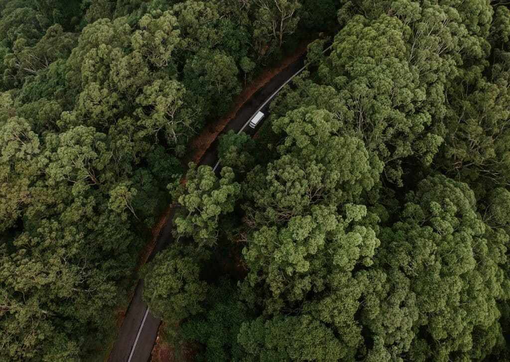 vue du ciel route au milieu d'une foret