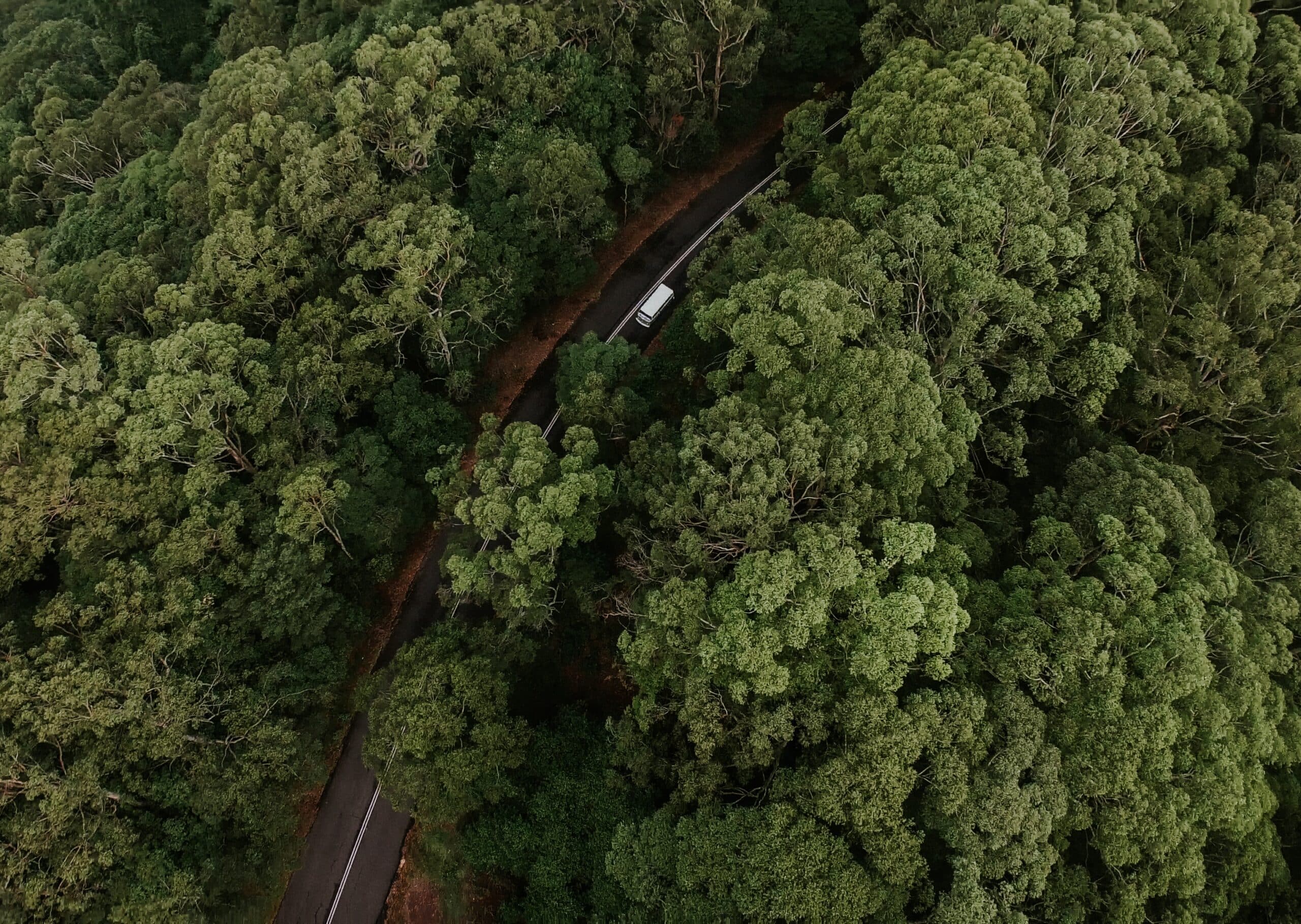 vue du ciel route au milieu d'une foret