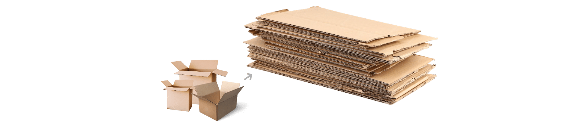 Carton